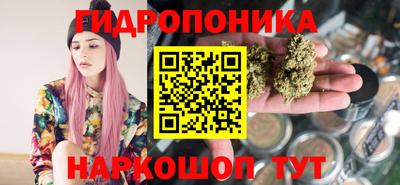 шишки Ирбит
