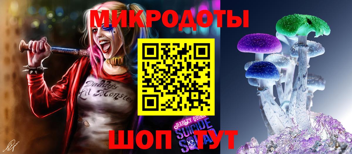 Псилоцибиновые грибы GOLDEN TEACHER Кропоткин