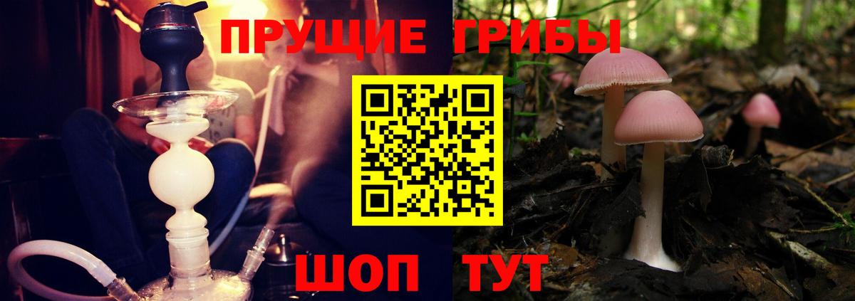 Кропоткин  Псилоцибиновые грибы GOLDEN TEACHER  Вход с VPN 